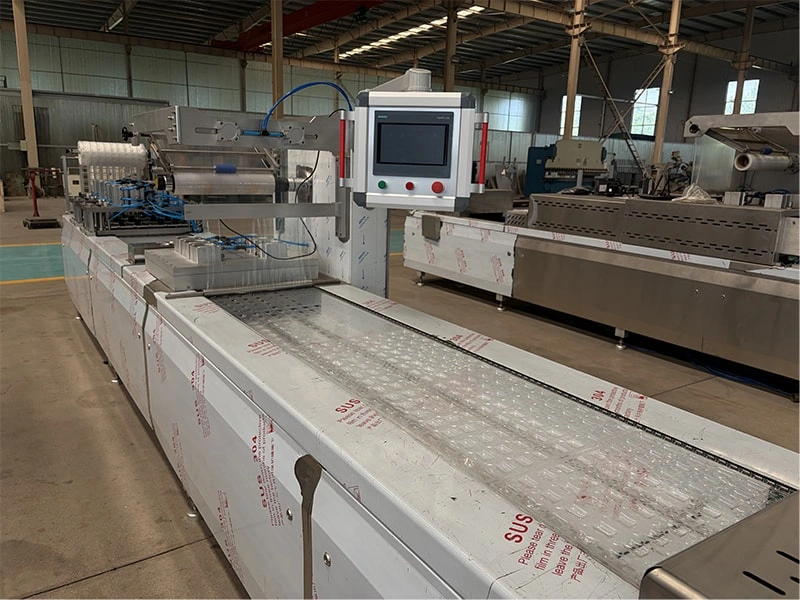 A Guide to Selecting Vacuum Stretch Film Packaging Machines